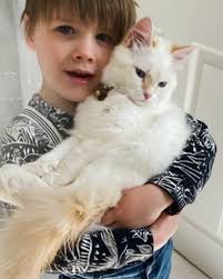 Happy International Cat Day! 😽 From my cat fam (Remy is the white one,  Ichi is the grey one) to yours enjoy 25% off our 'Cattails' print  collection with code ILOVEMYCAT 🖤🐈‍⬛