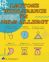 Image result for Lactase Deficiency