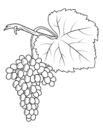 coloriages de raisins gratuit a imprimer et colorier coloriage savon au lait coco