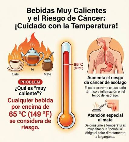 El consumo de bebidas muy calientes puede aumentar el riesgo de cáncer de  esófago. • El café podría reducir el riesgo de cáncer de hígado y de  endometrio. • La mayor carga
