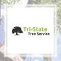 Pensacola Tree Service LLC from www.lawnstarter.com