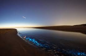 Jul 01, 2020 · zeevonk is vandaag en morgen weer te zien op texel. Strandbezoekers Vergapen Zich Aan Magische Blauwe Gloed In Zee Binnenland Ad Nl