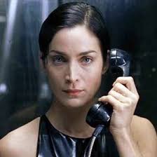 Rose DeStefano (@RoseDeStefano2)