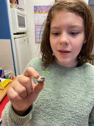 We are long time lurkers and first time posters.. my daughter has been  planting seeds and pips for a long time and we have given apple trees and  cherry trees to family