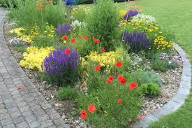 Damit kann man jedoch ein wahres meer an farben zaubern und schmetterlinge und co. Blumenwiese Krauterwiese Hilfe Gegen Insektensterben