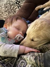 What decorations can I make with my Cricut for a space-themed birthday  party