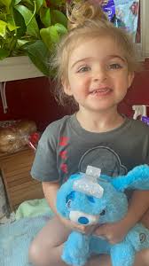 🐾🎶 Hey, hey, hey, hey, hey now, Lady's got her own baby band! 🎶🐾  Introducing our newest additions: Lady's Spectacular Seven! That's right,  six handsome boys and one adorable girl, because why