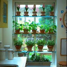 Kitchen Shelving Ideas To Boost Storage 17 Shelving Ideas For The Kitchen Window Herb Garden Indoor Herb Garden Kitchen Plants