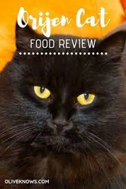 Orijen Cat Food Review Is This One Of The Best Brands On The Market Today Not All Commercial Cat Diets Come Equal Cat Food Reviews Cat Food Cat Food Brands