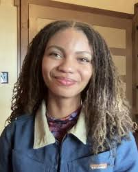 Switching to clean energy would save over 100,000 US lives, American Lung  Association reports