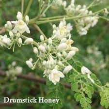 What Is Drumstick Flowers Idioticfashion