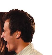 BCBR November 14, 2008