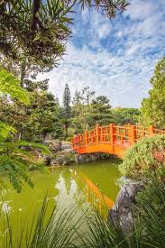 Jardin Botanico Santo Domingo Santo Domingo Jardin Botanico Botanica