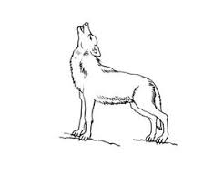 Dessin Loups Loup Dessin Loup Qui Hurle Coloriage Loup