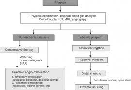 Image result for Priapism