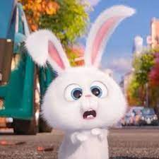 We did not find results for: 160 Arnab Ideas In 2021 Haiwan Peliharaan Lukisan Disney Haiwan Lucu