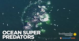 De l'eau pour les éléphants. I9rmpj2c2uscqm