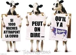 L'humour des internautes fait (couvre)feu de tout bois. Humour Et Couvre Feu La Toile Se Dechaine
