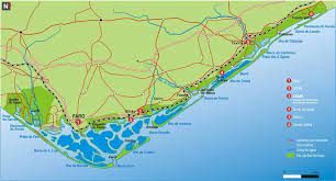 Best boat tour offer in faro. Cartographic Delimitation Of Ria Formosa Natural Park Source Icnf Download Scientific Diagram