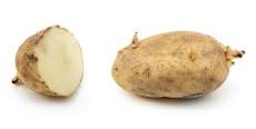 Russet potato - Wikipedia