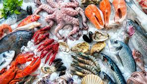 I datteri di mare si riproducono nel periodo estivo (luglio e agosto) ed hanno una crescita molto lenta, impiegano circa 20 anni per arrivare a misurare 5 cm: Pesce Crudo Verita E Falsita Bacetto Bistrot