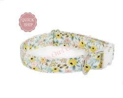 We did not find results for: Dog Collar Personalized Yellow Dog Collar Girl Dog Collar Etsy Floral Dog Collars Girl Dog Collars Girl And Dog