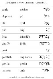 english to hebrew animals vocabulary eagle elephant elk