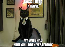 People love cats because of cats' insistence on earned affection; 100 Funniest Cat Memes Ever