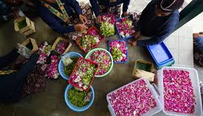 Karena sakit gigi merupakan penyakit yang lazim di masyarakat, maka sudah banyak obat medis yang diperjual belikan. Pihak Keluarga Kunjungi Makam Eyang Gusti Putri Paku Alam X