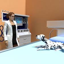 Check spelling or type a new query. Virtual Doctor Pet Hospital Pet Vet Games 2020 Apps On Google Play