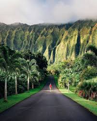Road To Hoomaluhia Botanical Garden Hawaii Travel Hawaii Photography Vacation Trips
