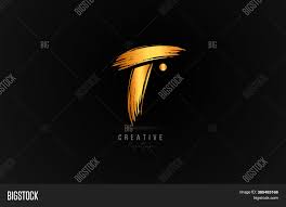 Designing your own letterhead is easy today with online tools. T Alphabet Letter Vector Photo Free Trial Bigstock