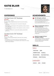 junior .net developer resume examples