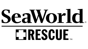 Seaworld Rescue Logo Vector Svg Png Findlogovector Com Pikbest have found 164 great sea world royalty psd,png and vector images. seaworld rescue logo vector svg