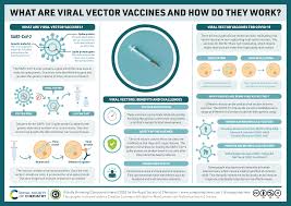 Strong opinions on oxford vs. How Does The Oxford Astrazeneca Covid 19 Vaccine Work A Guide To Viral Vector Vaccines Compound Interest