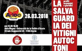 Image result for emittenti tv reggio emilia 1981 2021 loghi marche