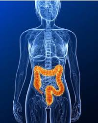 Quelles sont les principales maladies du côlon ? Profil De Colonrenove Colonrenove Pinterest