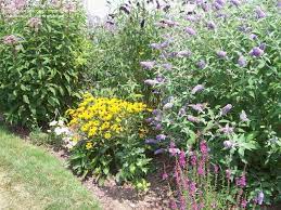 Further, you'll want a spot that's free from pesticides and insecticides, has. Butterfly Garden Ideas Florida