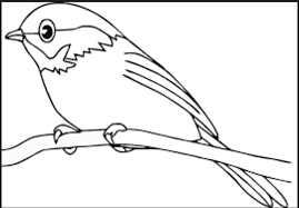 Kolase merupakan sebuah metode yang umumnya digunakan untuk menggambar, salah satunya yaitu menggambar sketsa. 92 Gambar Bebek Kolase Gambar Pixabay