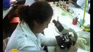 Această facultate cuprindea două departmente şi anume: Universitatea Din Bucuresti Facultatea De Biologie Avi Youtube