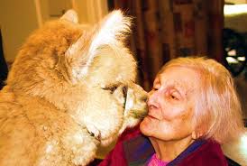 togeneration Generation