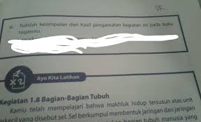 Contoh karya ilmiah biologi tentang tumbuhan. Kesimpulan Dari Hasil Pengamatan Pohon Tomat Brainly Co Id