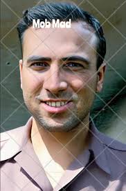 Mob-Mad: Daily Excerpts On Gangsters, Outlaws, & Criminal Organizations... 