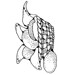 Epingle Sur Livre De Coloriage