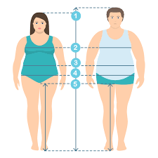 Flat Style Illistration Of Overweight Man And Women In Full Length With Measurement Lines Of Body Parameters Man And Women Clothes Plus Size Measurements Human Body Measurements And Proportions Download