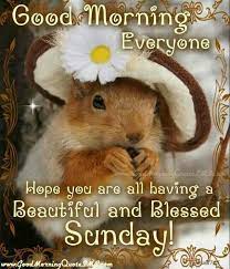 We did not find results for: Sunday Morning Greetings Quotes Quotesgram