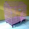 Blog sampah bagai anjing dan kucing. 1