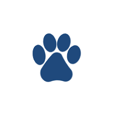 Your local vet, here to support you. Privacy Policy Pet Wellness Animal Hospital Vestavia Hills Al