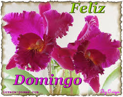 Resultado de imagen de gifs domingo