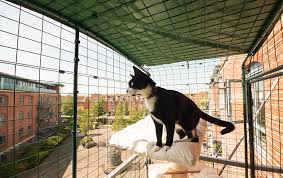 Furthermore, our enclosures allow for a high degree of customization so that you receive a home upgrade that looks and functions exactly the way you want. Cat Balcony Enclosure The Ultimate Urban Cat Run